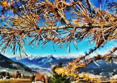 wpid herbst4 400x284 - Herbst in Tirol