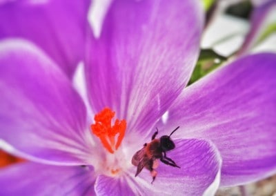 Frühling