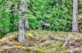Dateiname=andreas-felder-kameramann_orf_unterwegs_in_oesterreich_17_01_05_2018_12_46_22.jpeg
Dateigröße=915KB
Abmessungen: 1187x766
hinzugefügt am: 30. Mai 2018 andreas-felder-kameramann_orf_unterwegs_in_oesterreich_17_01_05_2018_12_46_22.jpeg